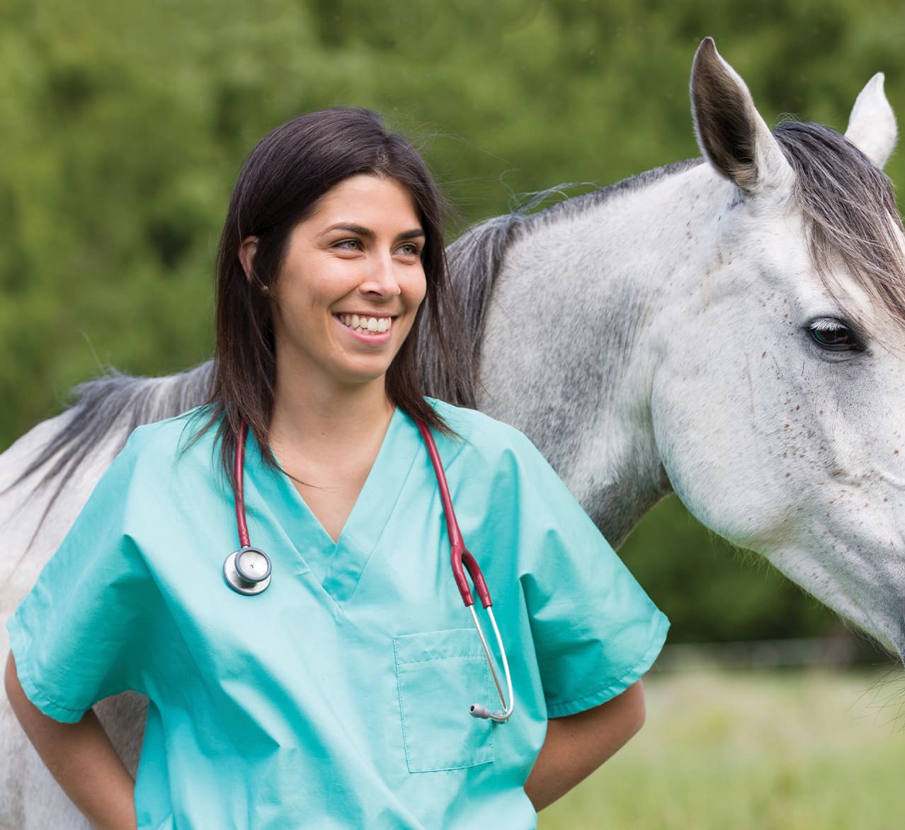 vet standing beside horse