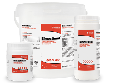  Bimestimul