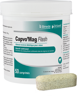  Capvo'Mag Flash