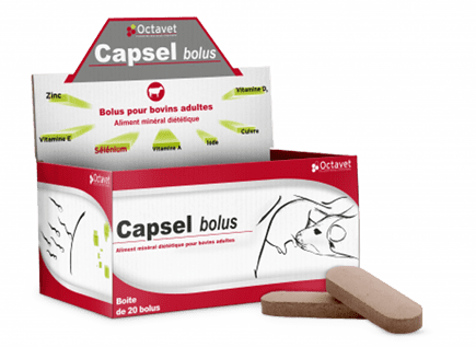  Capsel Bolus