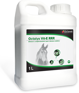  Octalys Vit-E RRR