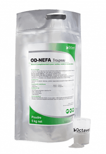  OD-NEFA Troupeau