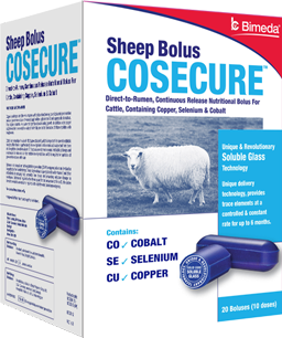 Cosecure Sheep