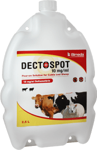 Dectospot