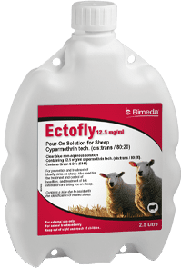 Ectofly