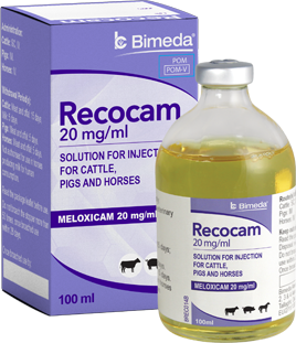 Recocam