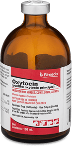 Oxytocin 