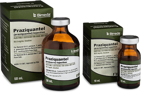 Praziquantel Injection 